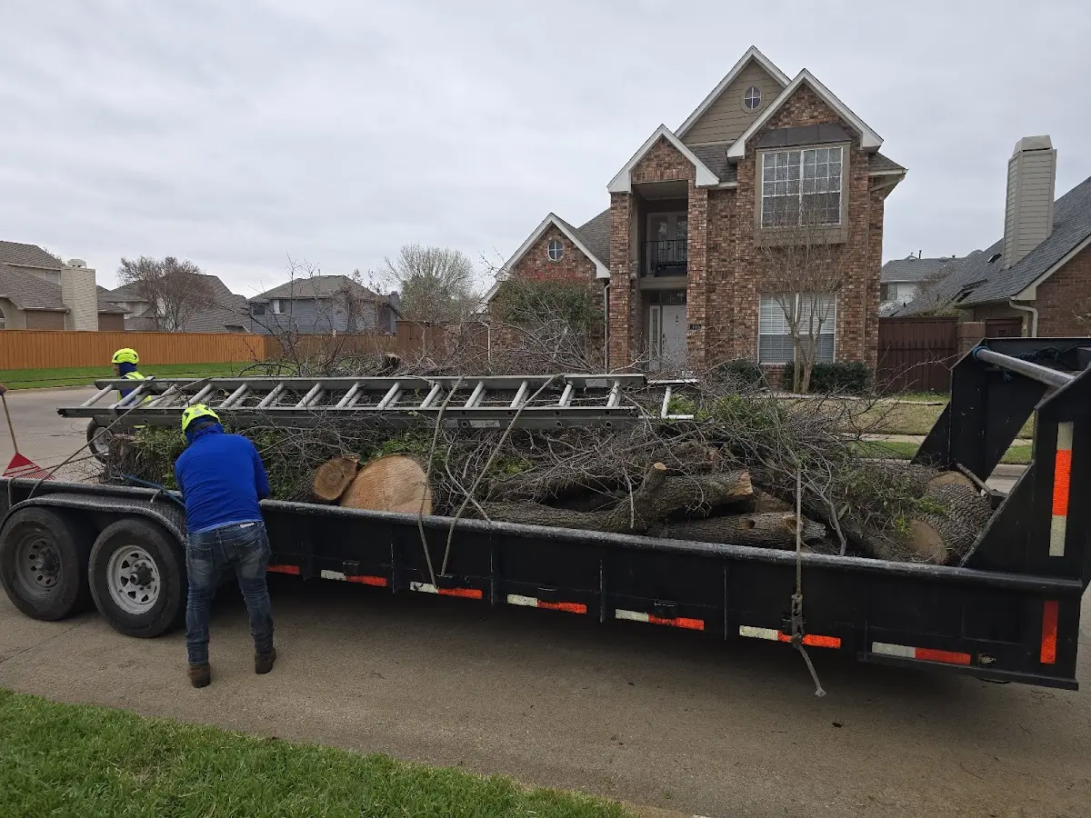 Expert Tree Removal with proper safety equipment in Varney